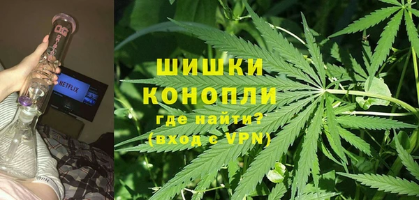 твердый Алзамай