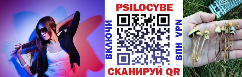 MEGA ССЫЛКА  дарнет шоп  Бахчисарай  Псилоцибиновые грибы Cubensis 