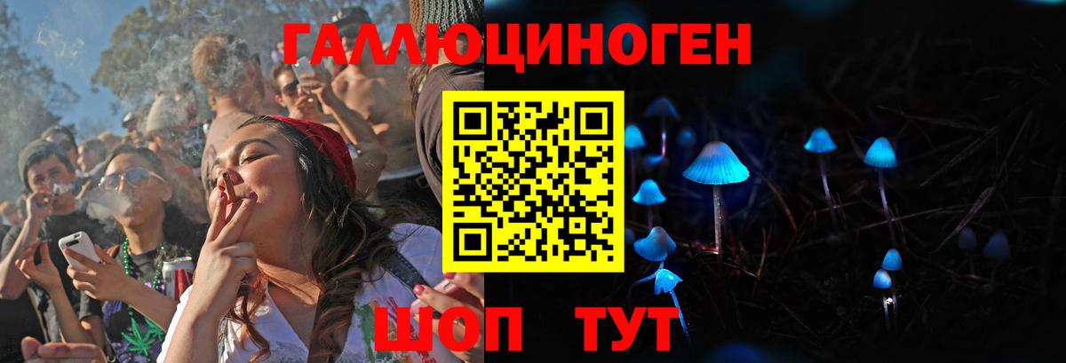 что такое наркотик  Вход с VPN  Бахчисарай  Псилоцибиновые грибы мицелий 